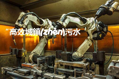 “高效城鎮(zhèn)污水處理流程，守護碧水藍天新篇章”
